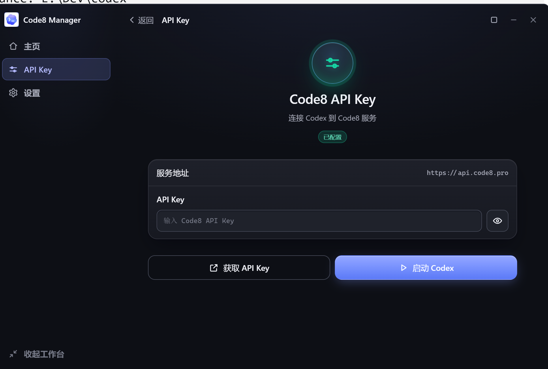 Code8 Manager API Key 空状态